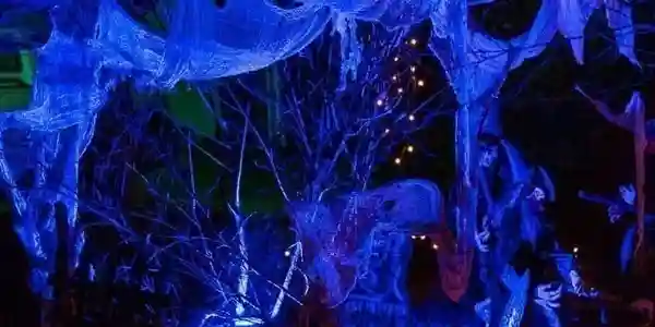Halloween House Inmersive Experience